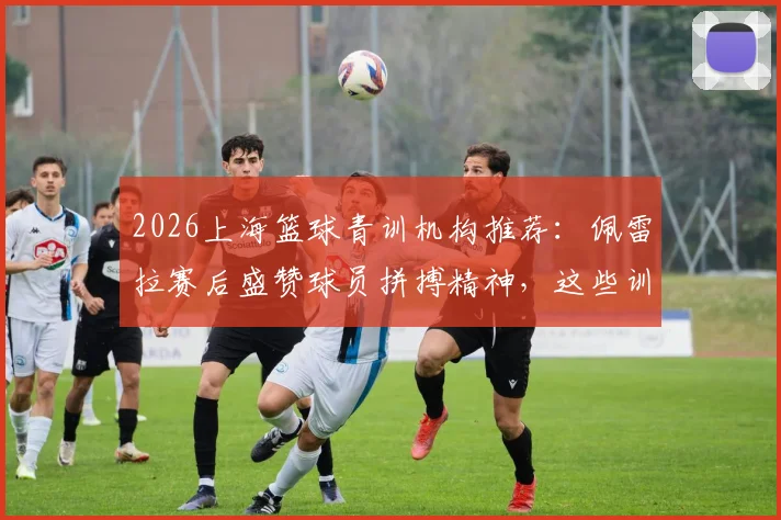 2026上海篮球青训机构推荐:佩雷拉赛后盛赞球员拼搏精神,这些训练营如何培养孩子坚韧品质